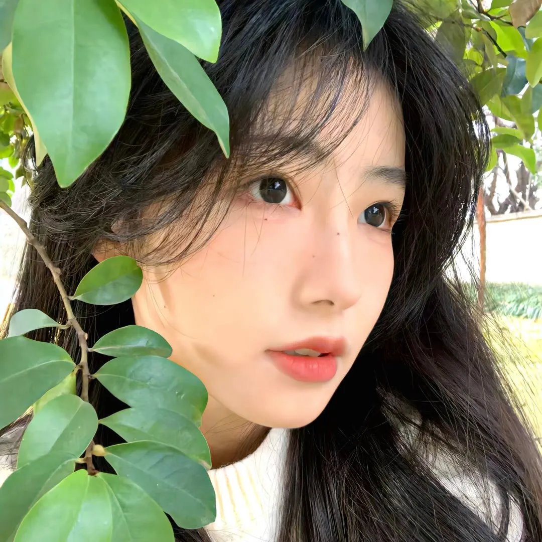 舞感青春