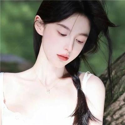 锦囊妙录